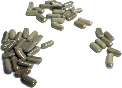 

GJTL River Rock Unplanted Substrate(Beige)