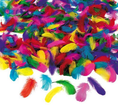 

Fun Express Feather Assortment Model Kit 600 Piece
