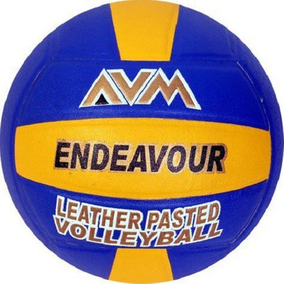 

AVM Endeavour Volleyball - Size: (Pack of 1, Multicolor