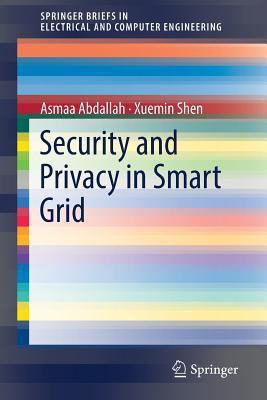 Security and Privacy in Smart Grid(English, Paperback, Abdallah Asmaa)