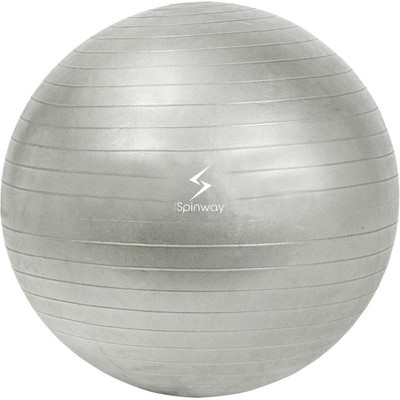 

Spinway Gym Ball, Anti Burst Gym Ball, Silver