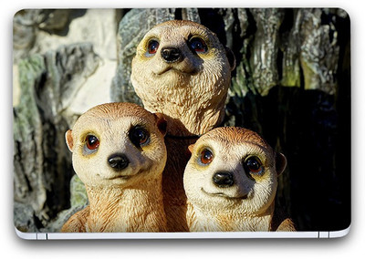 

Flipkart SmartBuy Animal Themed 195 Vinyl Laptop Skin (3M/Avery Vinyl, Matte Laminated, 15 x 10 inches) Vinyl Laptop Decal 15.6