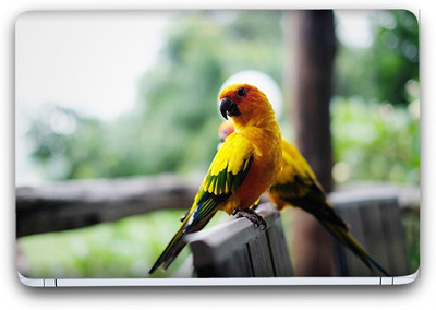 

Flipkart SmartBuy Animal Themed 130 Vinyl Laptop Skin (3M/Avery Vinyl, Matte Laminated, 15 x 10 inches) Vinyl Laptop Decal 15.6