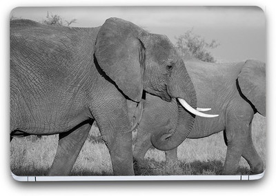 

Flipkart SmartBuy Animal Themed 102 Vinyl Laptop Skin (3M/Avery Vinyl, Matte Laminated, 15 x 10 inches) Vinyl Laptop Decal 15.6
