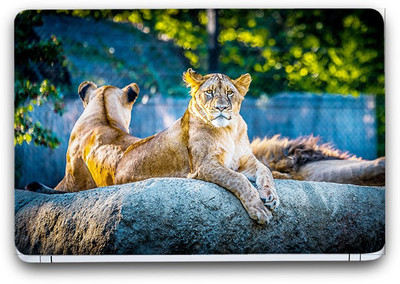 

Flipkart SmartBuy Animal Themed 145 Vinyl Laptop Skin (3M/Avery Vinyl, Matte Laminated, 15 x 10 inches) Vinyl Laptop Decal 15.6