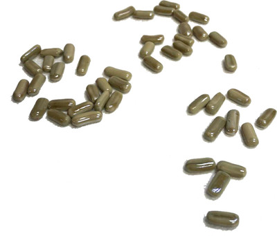 

GJTL River Rock Unplanted Substrate(Beige)