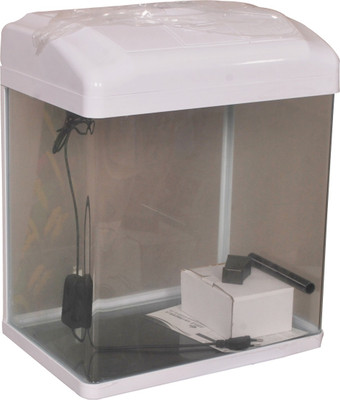 

Aquapetzworld 80 Aquarium Fish Tank(White)-30 L Rectangle Aquarium Tank(30)