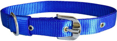 

PET HUB Dog Collar & Leash(, BLUE