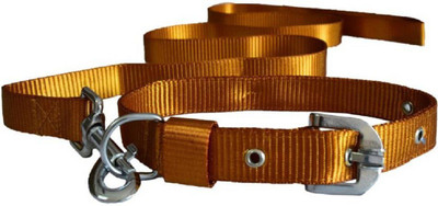 

PET HUB Dog Collar & Leash(, GOLDEN