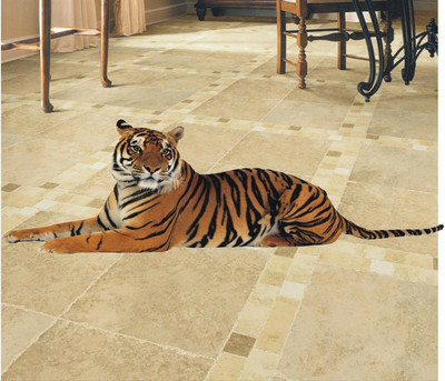 

Jump up  Floor sticker Sticker(Pack of 1, Multicolor