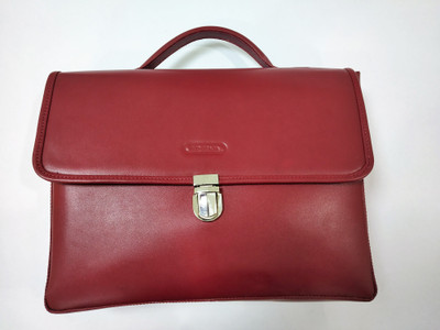 

ecogracia RLPRO-FLK-001 Multipurpose Bag(Red, 13 inch)