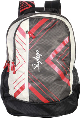 

Skybags Ronan Extra 01 Backpack (Grey) 22 L Backpack(Multicolor)