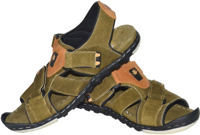 

Strive Men Mehandhi Casual