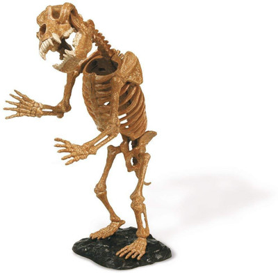 

GEOWORLD ICE AGE EXCAVATION KIT - CAVE BEAR SKELETON(Multicolor)