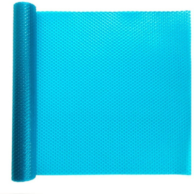 Runer Plastic Door Mat(Turquoise, Medium)