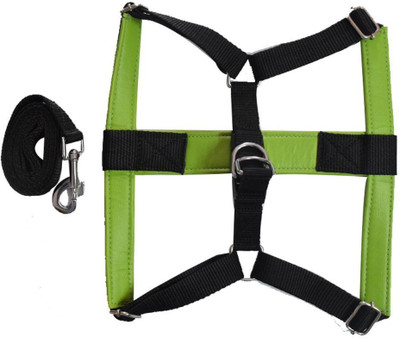 Paw Zone 8106360786 150 cm Dog Strap Leash(Black)