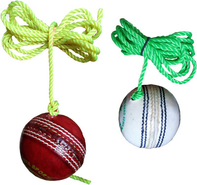 PSE Hanging Cricket Training Ball(Standard, Pack of 2, Multicolor)