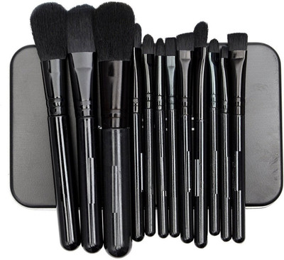 

skinplus Brush Box ! Makeup Brush Collection(Pack of 12)