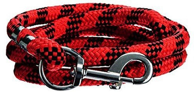 

Paw Zone Dog Collar & Leash(, Red