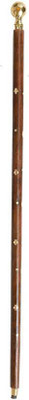 ASR SURGICAL AC05 Walking Stick
