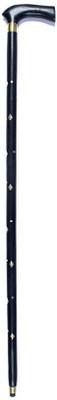 

ASR SURGICAL AC07 Walking Stick