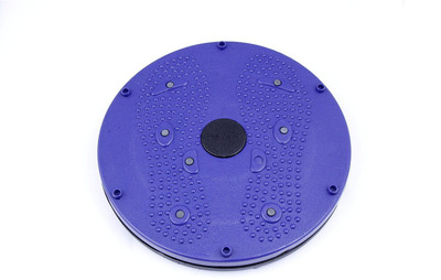 

Wyvern Perfect 4 In 1 Magnetic Twister For Men & Women Ab Exerciser(Blue)