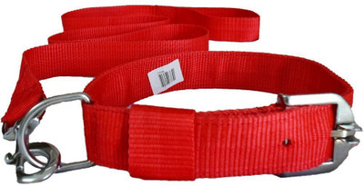 

Paw Zone Dog Collar & Leash(, Red