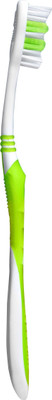 

aquawhite Popular Flexi Bristles Pack of 12. Health & Personal Care Medium Toothbrush(Pack of 12)