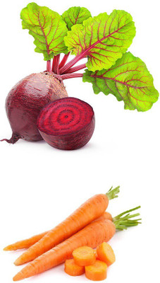 ZONATO Vegetable seeds Beetroot and Carrot Combo pack of 100 Best Quality Premium Seed(100 per packet)