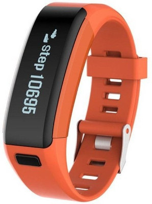 

Clairbell FNL_366J_F1(Grey Strap, Size : Free Size), Multicolor