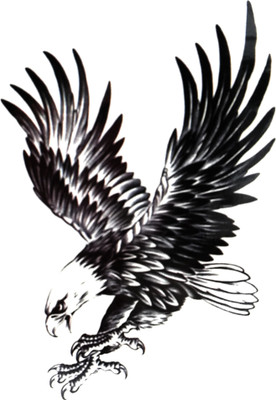 

Gemmas Fashion Eagle(Eagle)