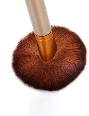 

skinplus Professional Makeup Brush Set with Carry Case, Pack of 12 Brushes(Pack of 12)