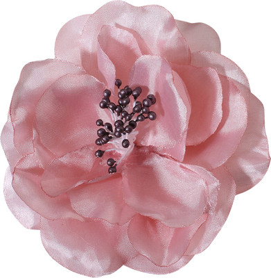 

Accessorize MN-48661714001 Hair Clip(Pink)