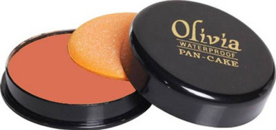 

Olivia Waterproof Pan-Cake Concealer(pink)