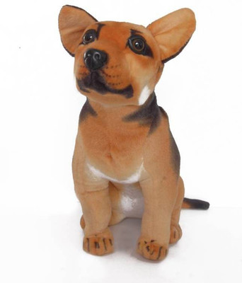 

ParvCart Dogs Soft Toys - 30 cm(Multicoloue)