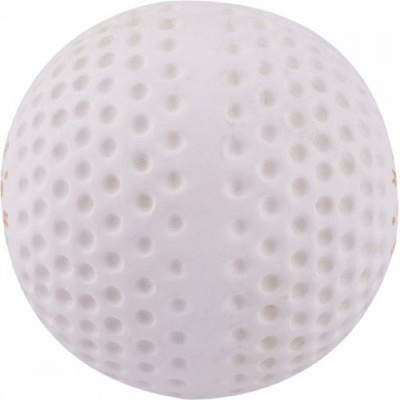 

SanR HOCKEY BALL Hockey Ball(Pack of 1, White)