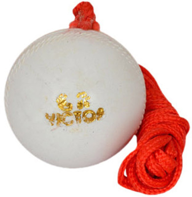 

RIYAAN cricket hanging ball white pack of 1 Cricket Training Ball(Pack of 1, White)