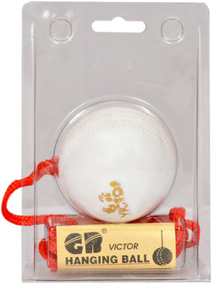 

RIYAAN GB Victor Hanging Cricket Training Ball(Pack of 1, White)