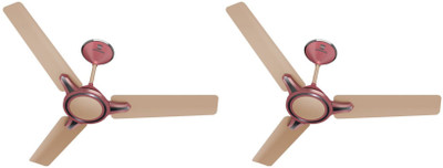 

havells standard RINGO 3 Blade Ceiling Fan(BLUSH MAGENTA, Pack of 2), Multicolor
