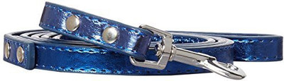 

Mirage Pet Products Dog Everyday Collar(, Multicolor