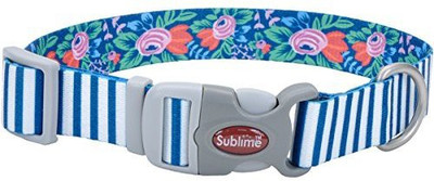 

Coastal Pet Dog Everyday Collar(, Multicolor