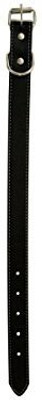 

Bulk Buys Dog Everyday Collar(, Multicolor