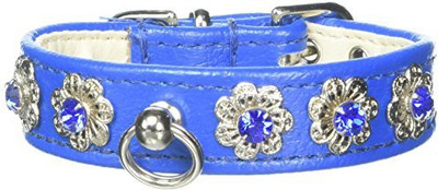

Mirage Pet Products Dog Everyday Collar(, Multicolor