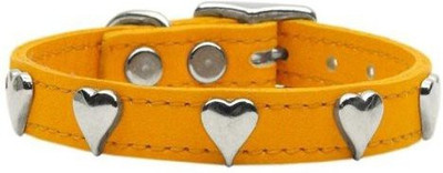 

Mirage Pet Products Dog Everyday Collar(, Multicolor
