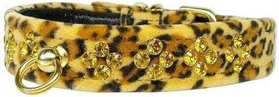

Mirage Pet Products Dog Everyday Collar(, Multicolor