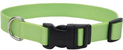 

Coastal Pet Products Dog Everyday Collar(, Multicolor