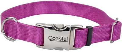 

Coastal Pet Products Dog Everyday Collar(, Multicolor