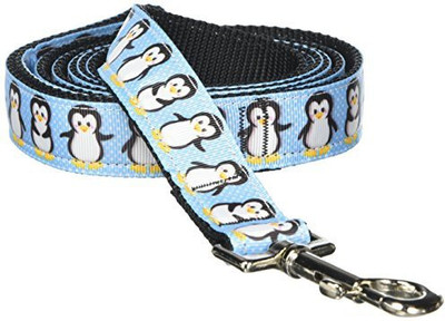 

Mirage Pet Products Dog Everyday Collar(, Multicolor