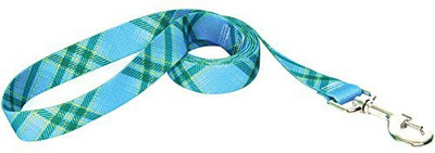 

Yellow Dog Design Dog Collar & Leash(, Multicolor