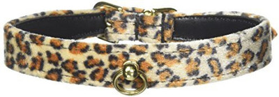 

Mirage Pet Products Dog Everyday Collar(, Multicolor